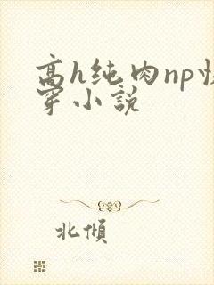 高h纯肉np快穿小说