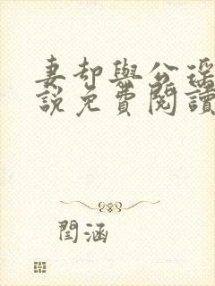 妻却与公瑶瑶小说免费阅读最新章节封面