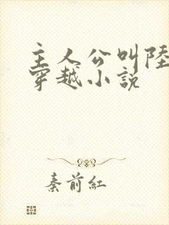 主人公叫陆叶的穿越小说