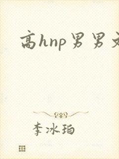 高hnp男男文