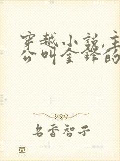 穿越小说,主人公叫金锋的小说