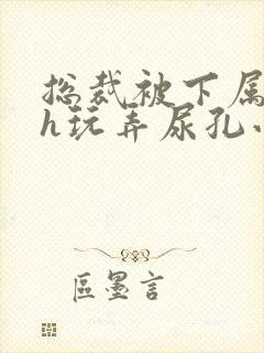 总裁被下属调教h玩弄尿孔小说