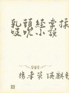 乳头经常揉捏和吸吮小说