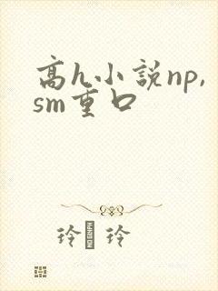 高h小说np,sm重口封面