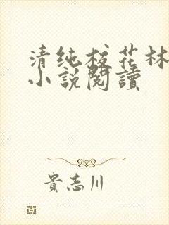 清纯校花林思琪小说阅读