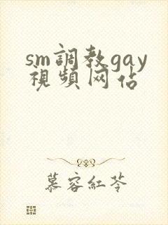 sm调教gay视频网站