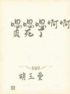 嗯嗯嗯啊啊啊啊爽死了封面