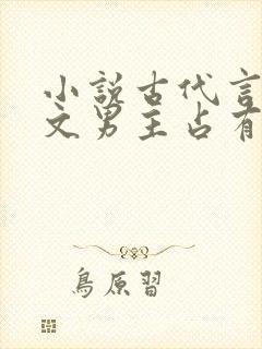 小说古代言情宠文男主占有欲强封面