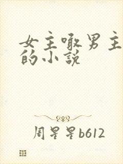 女主喊男主哥哥的小说封面