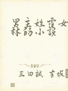 男主姓霍女主姓林的小说封面