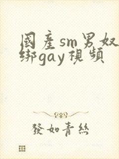 国产sm男奴捆绑gay视频