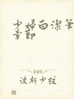 少妇白洁笔趣阁章节封面