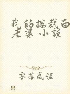 我的总裁白富美老婆 小说