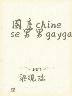 国产chinese男男gaygay在线播放