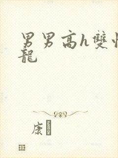 男男高h双性双龙