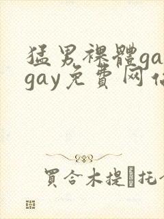 猛男裸体gaygay免费网站