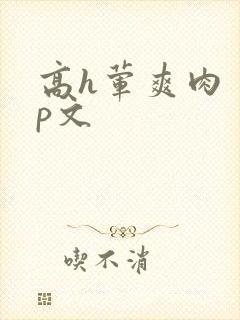 高h荤爽肉〈np文