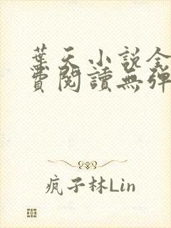 叶天小说全文免费阅读无弹窗