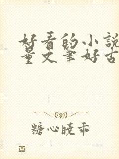 好看的小说高质量文笔好古言