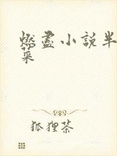 燃尽小说半截白菜封面