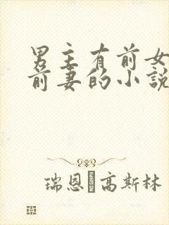 男主有前女友或前妻的小说