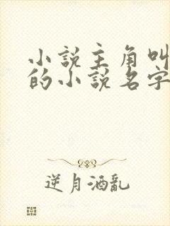 小说主角叫叶凡的小说名字封面