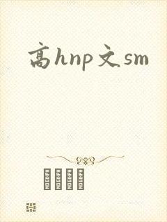 高hnp文sm