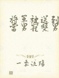 将军被送到敌国当男宠双男小说封面