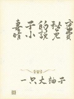 妻子的秘密韩雅晴小说免费阅读