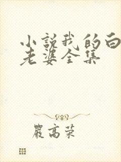 小说我的白富美老婆全集