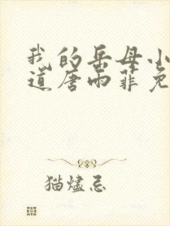 我的岳母小说林道唐雨菲免费阅读封面