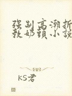 强制高潮折磨调教奶头小说封面