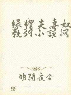 绿帽夫妻奴受调教39小说网封面