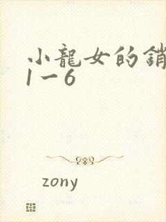 小龙女的销魂夜1一6封面