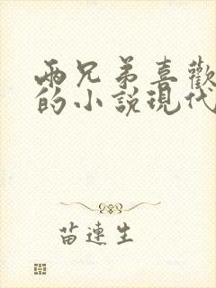 两兄弟喜欢女主的小说现代言情小说封面