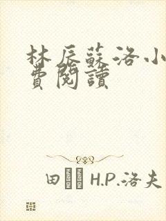 林辰苏洛小说免费阅读封面