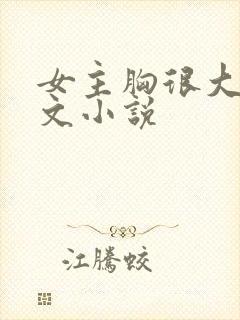 女主胸很大的h文小说封面