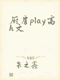 厨房play高h文