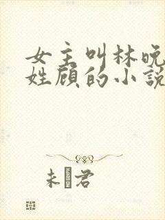 女主叫林晚男主姓顾的小说