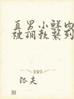 直男小鲜肉小陈被调教系列