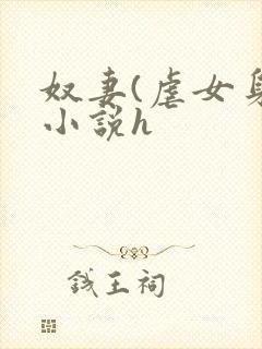 奴妻(虐女身)小说h