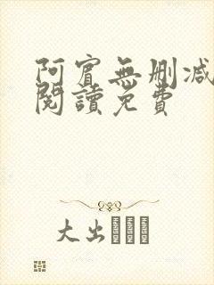 阿宾无删减全文阅读免费封面