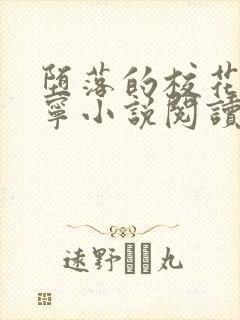 堕落的校花赵诗宁小说阅读封面