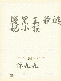 腹黑王爷逃跑王妃小说