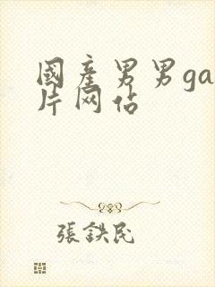 国产男男gay片网站