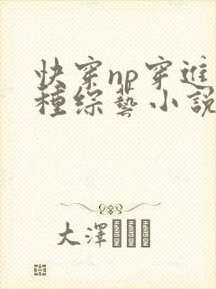 快穿np穿进各种综艺小说免费阅读
