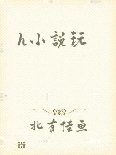 h小说玩