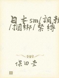 日本sm/调教/捆绑/紧缚