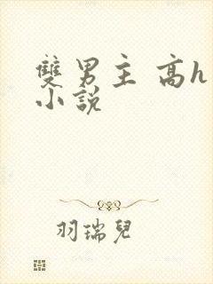 双男主 高h 小说