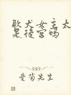 败犬女主太多了是后宫吗